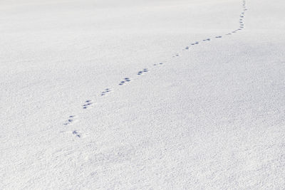 High angle view of footprints on sand at beach