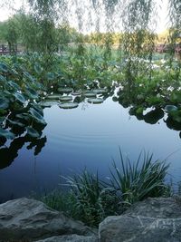 Scenic view of lake against sky