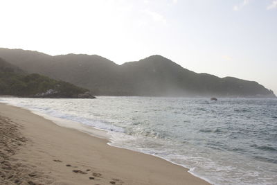 Scenic view of beach