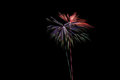 Low angle view of firework display at night