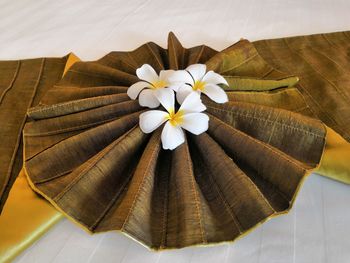 High angle view of white flower on table