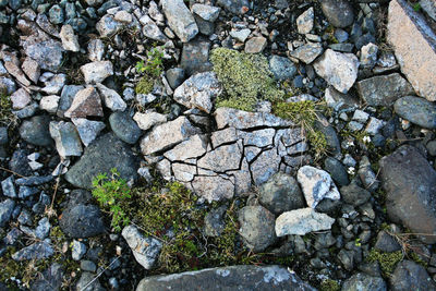 High angle view of stones and pebbles on rocks