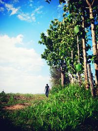 Man amidst plants against sky