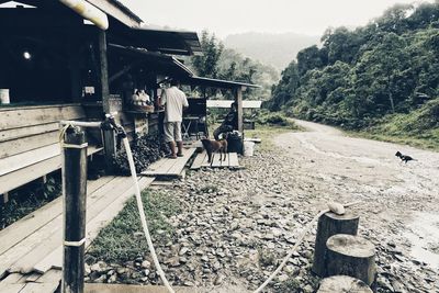 Panoramic view of people on country road against sky