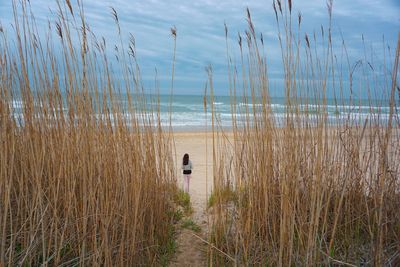 Scenic view of beach against sky