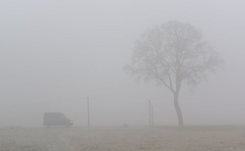 Bare trees on field against sky during winter