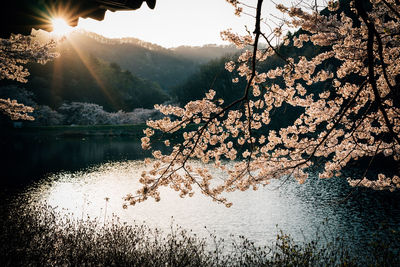 Scenic view of lake against sky during sunset