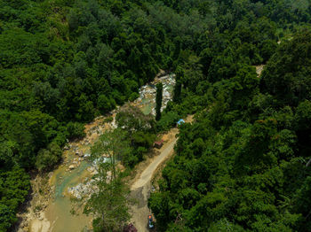 High angle view of road passing through forest