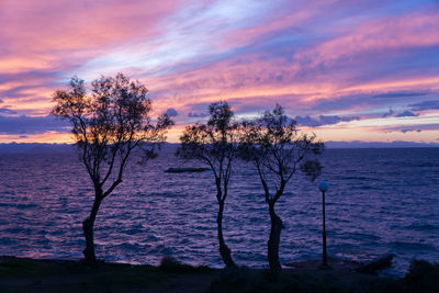 Silhouette trees on beach against sky during sunset