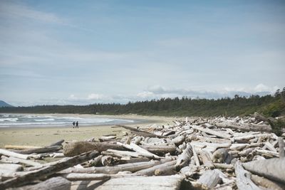 Scenic view of beach against sky