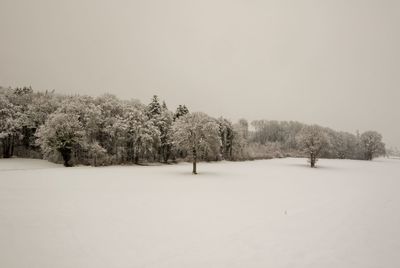 Trees on snow covered field against sky