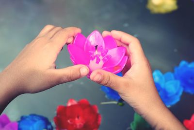 Close-up of hand holding pink flower