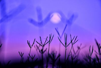 Close-up of silhouette plants on field against blue sky