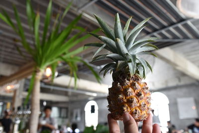 Close-up of hand holding food