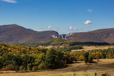 Scenic view of landscape against blue sky