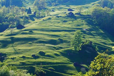 Scenic view of landscape