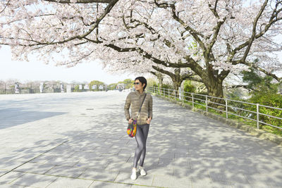 Woman standing on footpath below cherry blossom trees