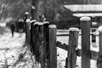 Close-up of wooden fence