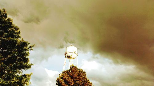 Low angle view of trees against sky