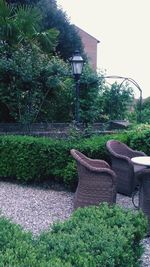 Empty chairs in garden