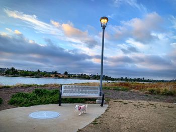 Street light by beach against sky