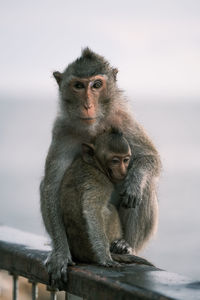 Portrait of female sitting outdoors