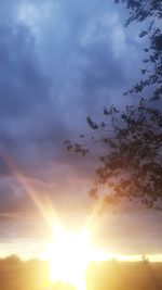 Low angle view of silhouette birds against sunset sky