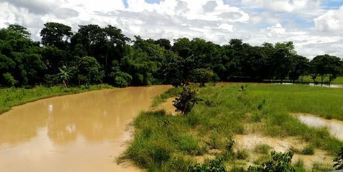 Scenic view of green landscape against sky