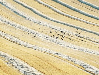 High angle view of tire tracks on land