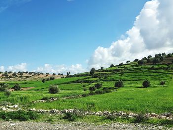 Scenic view of landscape against sky