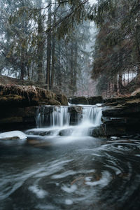 Scenic view of waterfall in forest