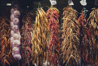 Close-up of dried chili for sale at market stall