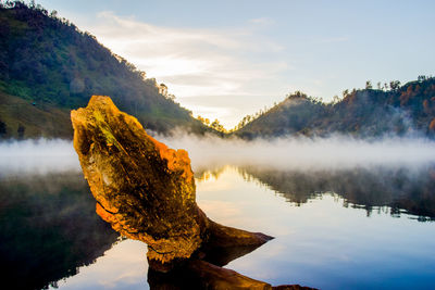 Scenic view of lake by trees against sky
