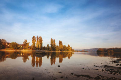 Reflection of trees in lake