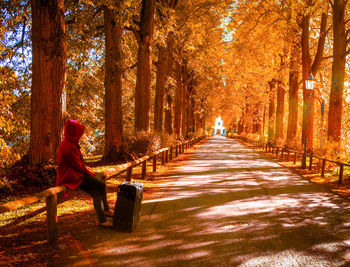 Man sitting on bench in park during autumn