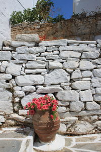 Potted plant on retaining wall against sky