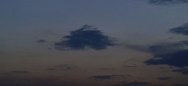 Low angle view of silhouette trees against sky at night