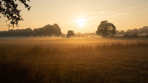 Scenic view of field against sky during sunset