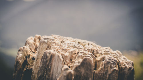 Close-up of rock against sky