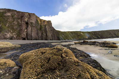 Scenic view of beach against sky