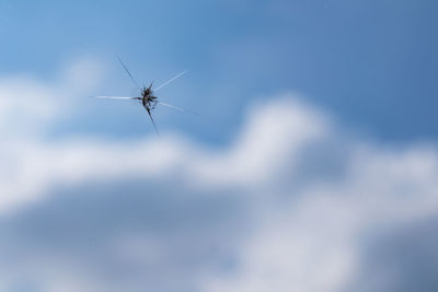 Close-up of spider against blue sky