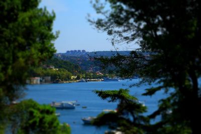 Scenic view of lake by trees against sky