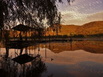 Reflection of trees in calm lake