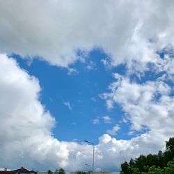 Low angle view of trees against blue sky