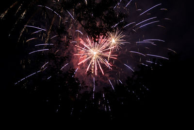 Low angle view of firework display at night
