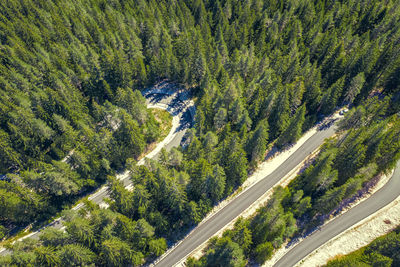 High angle view of winding road amidst trees