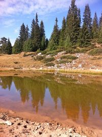 Reflection of trees in lake against sky