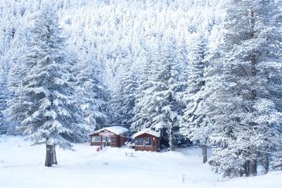 View of snow covered landscape and houses