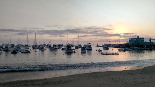 Sailboats moored in harbor at sunset