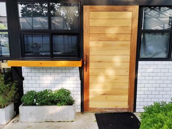 Potted plants on window of building
